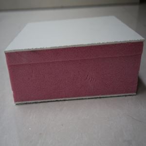 FRP XPS Sandwich paneelid